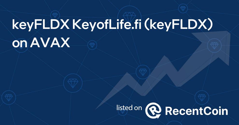 keyFLDX coin