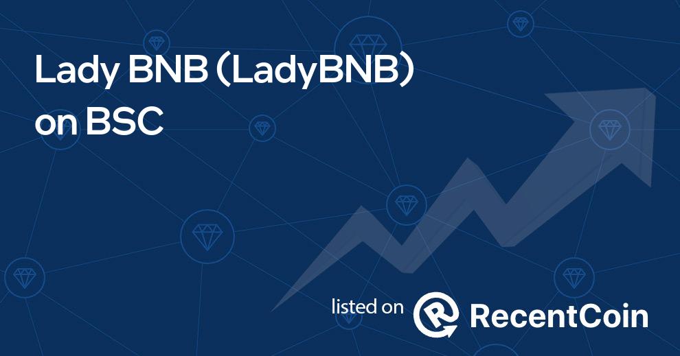 LadyBNB coin