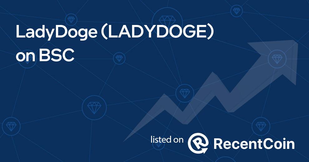 LADYDOGE coin
