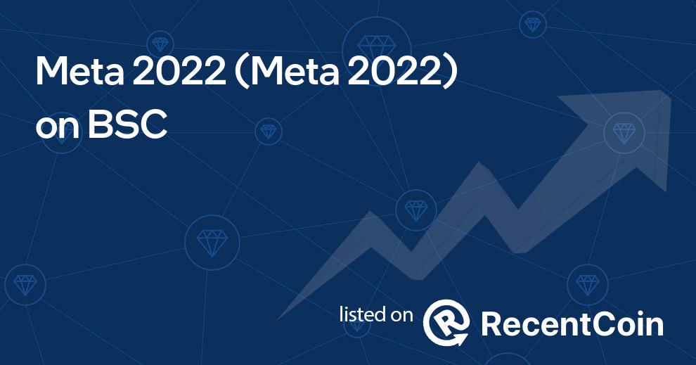 Meta 2022 coin