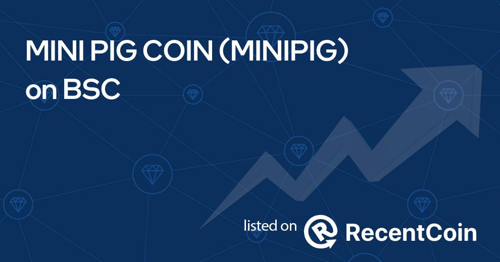 MINIPIG coin