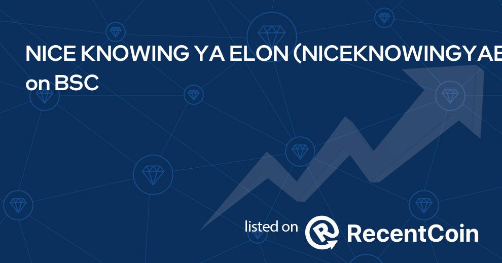 NICEKNOWINGYAELON coin