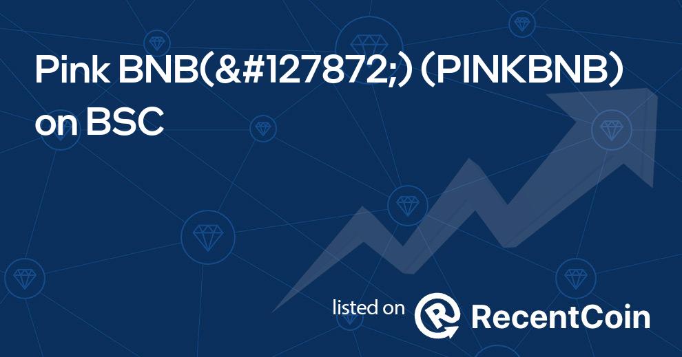 PINKBNB coin
