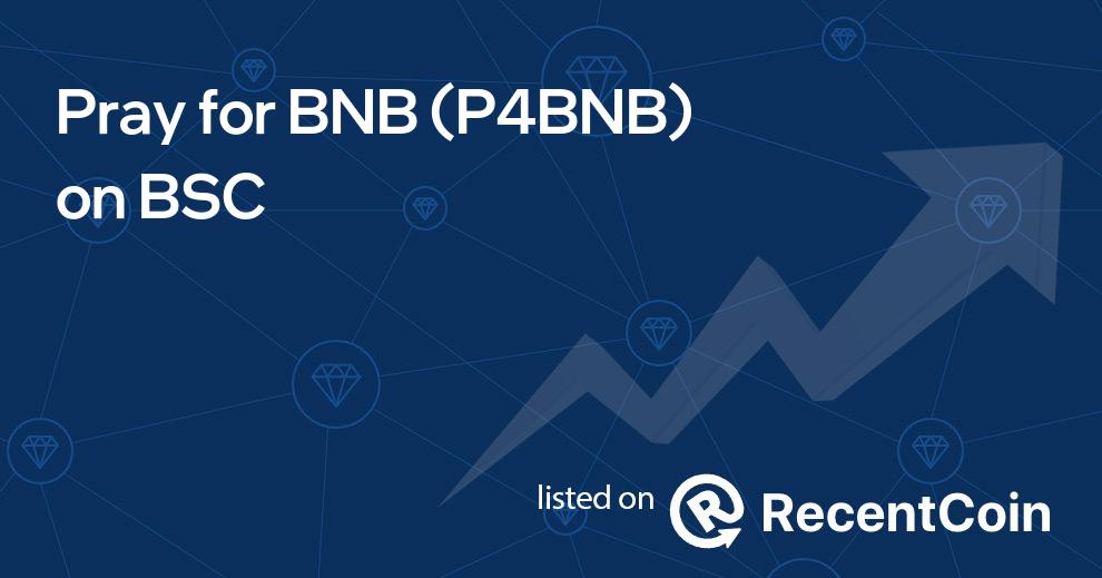 P4BNB coin