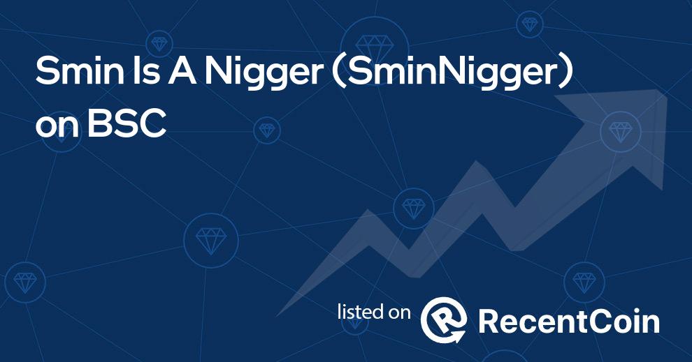 SminNigger coin