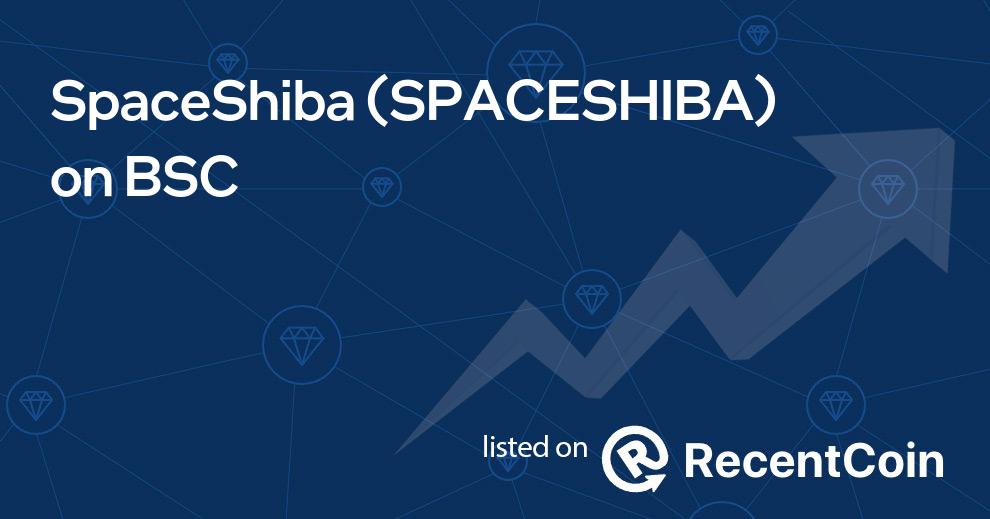 SPACESHIBA coin