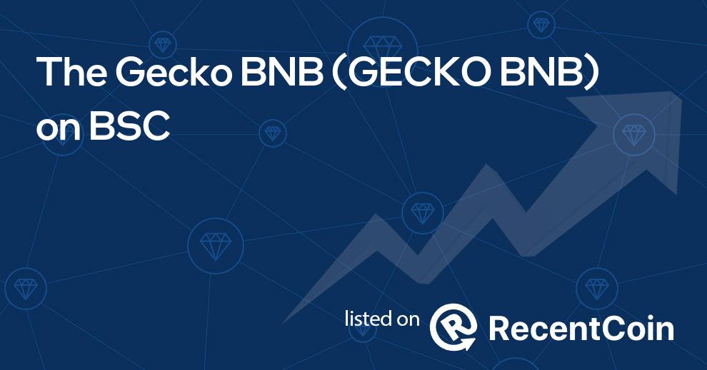 GECKO BNB coin