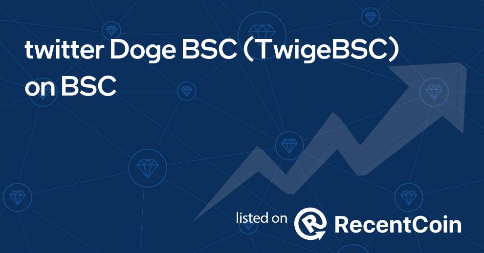 TwigeBSC coin