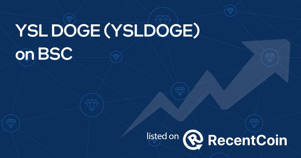 YSLDOGE coin