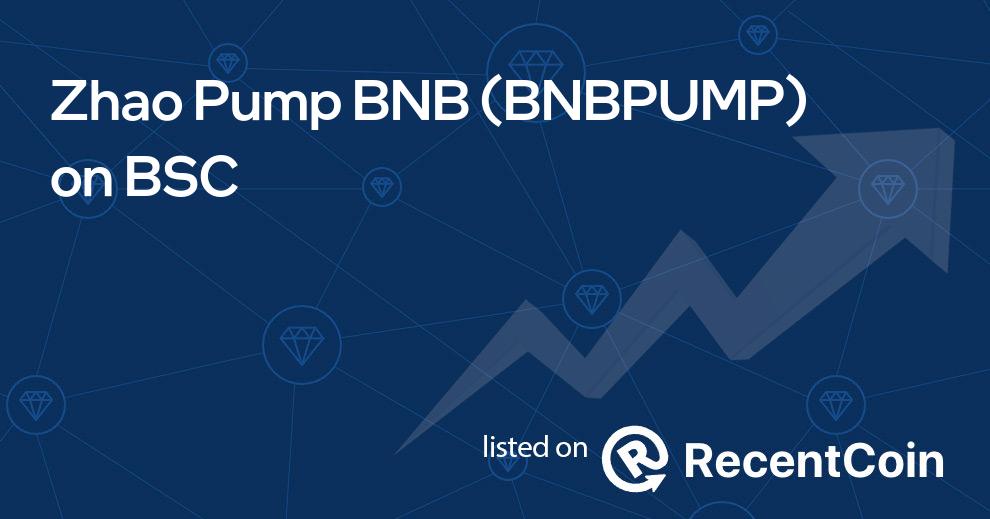 BNBPUMP coin