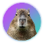 (CAPY) Capybara to DJF