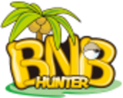 BHT - BNB Hunter Token