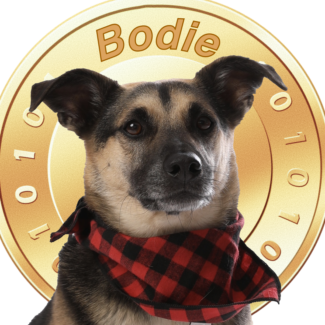 BODIE - Bodie Coin