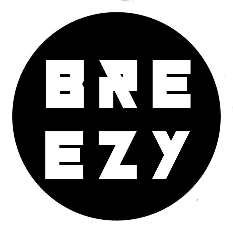 BreezyModels Coin