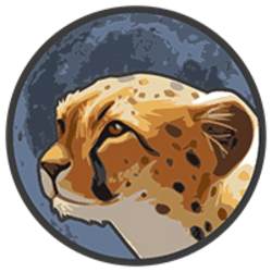 Cheetah Token
