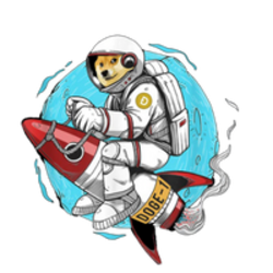 DOGE-1 - Doge-1 Mission to the moon