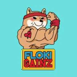 GAINZ - FlokiGainz