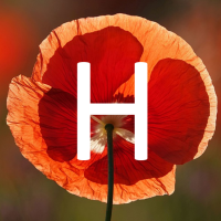 HOPIUM - Hopium