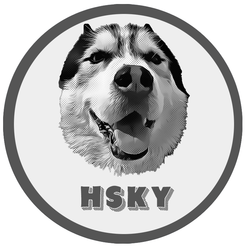 HSKY - HSKY Token