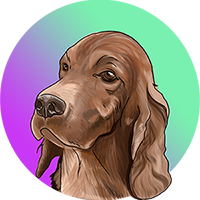 ISS - Irish Setter Sol