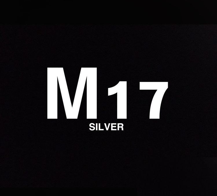 MSSC - M17SilverCoin