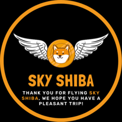 SKY - Sky Shiba
