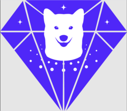 SPACExDOGE - SPACExDOGE