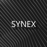 MINECRAFT - Synex Coin