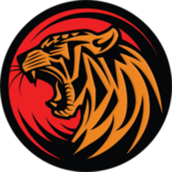 TGNB - Tiger Token