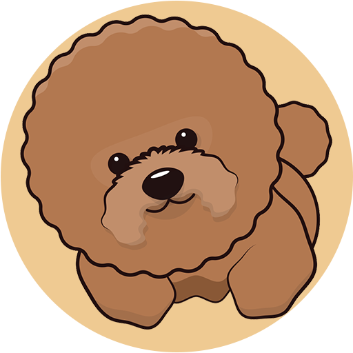 TOYPOODLE COIN